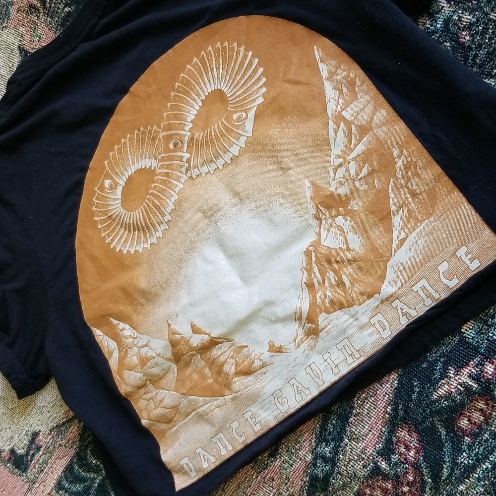 Dance Gavin Dance Crop Tee - image 3